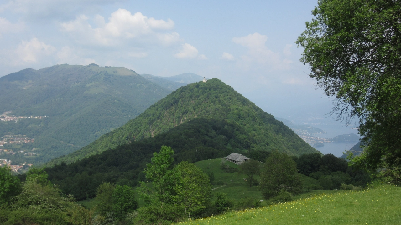 immagine di sfondo 6