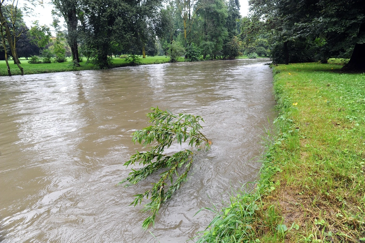 immagine di sfondo 17