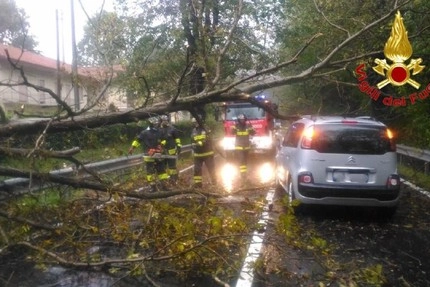 L'albero caduto su un'auto a Mornago