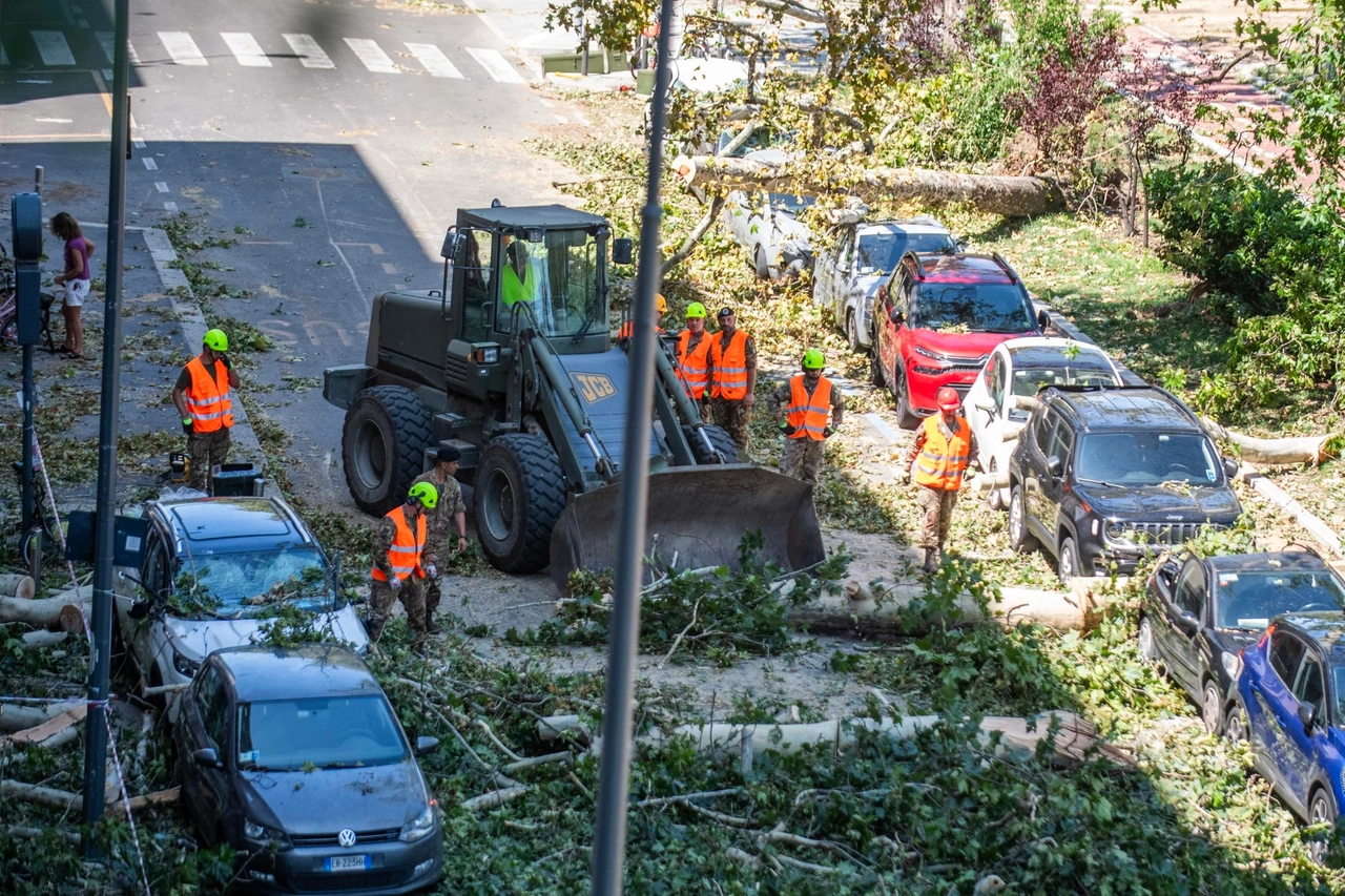 La ruspa per liberare le strade dagli alberi