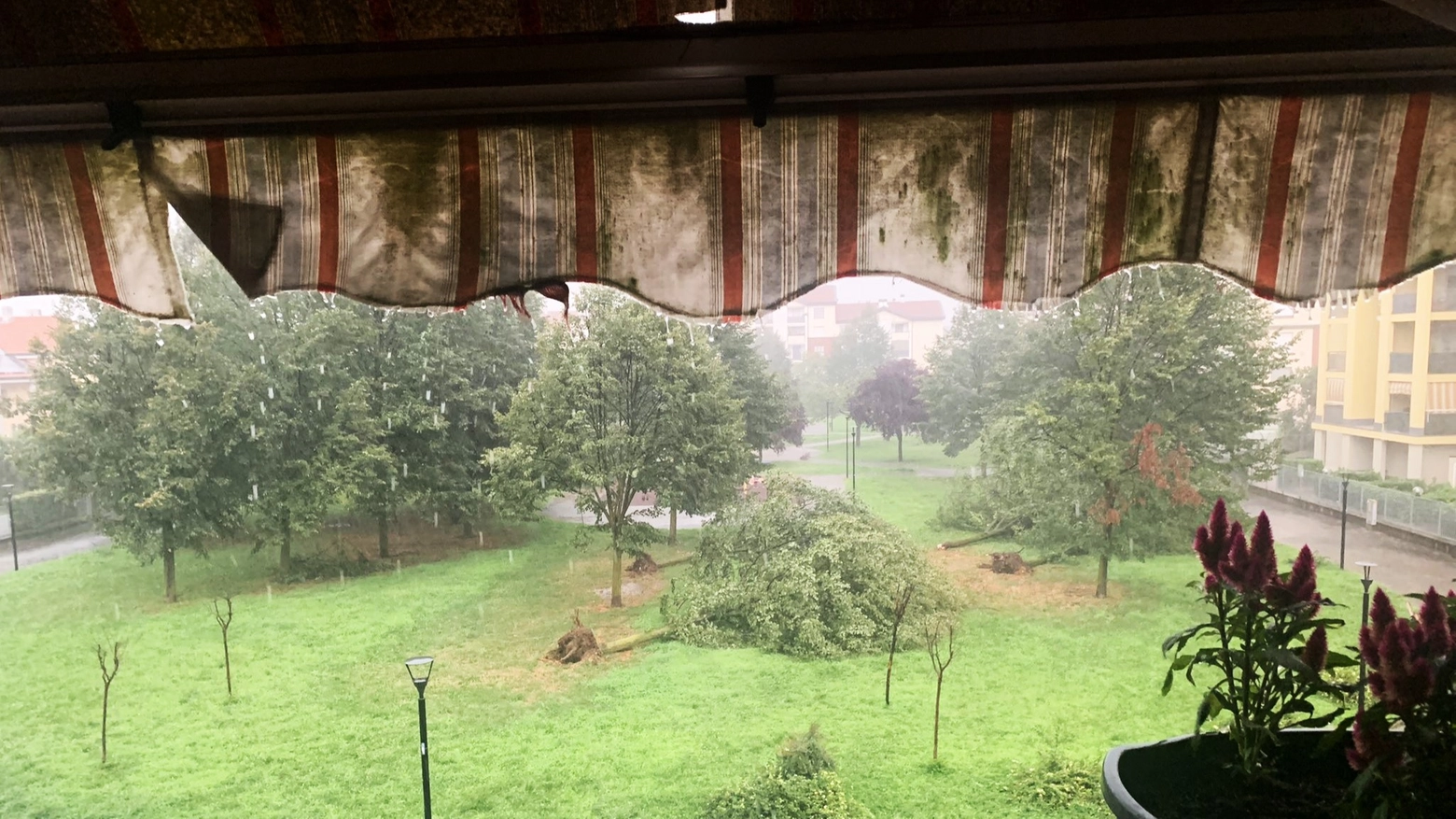 No raga assurdo… solo dalle finestre di casa mia vedo 5 alberi spezzati, chissà quanti disastri ci sono in giro