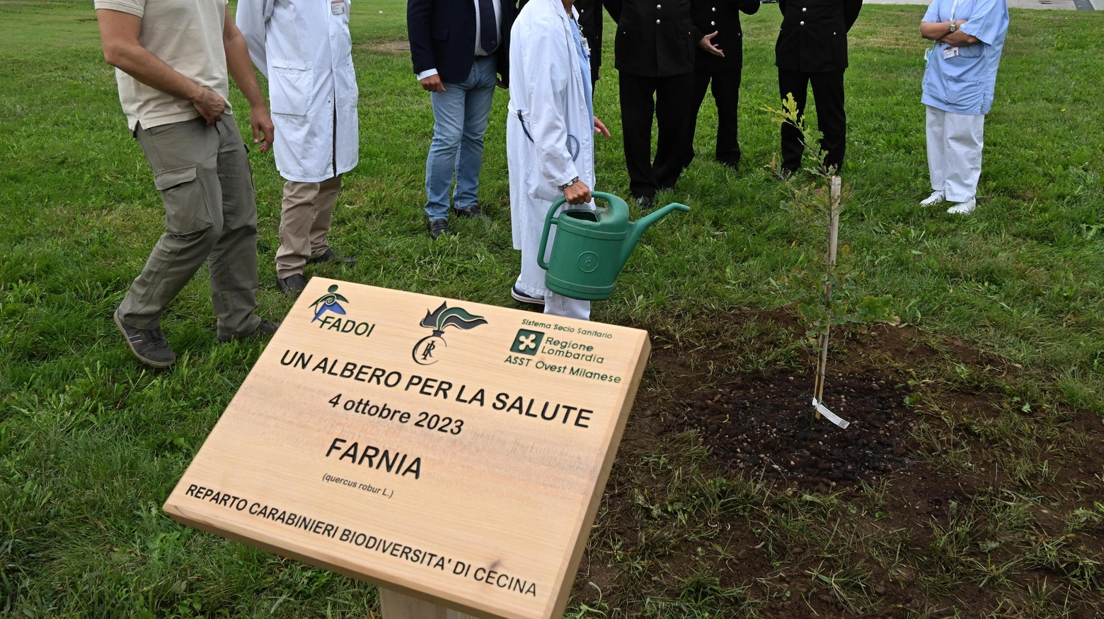 Messa a dimora la farnia: unisce salute e ambiente Messa a dimora la farnia: unisce salute e ambiente