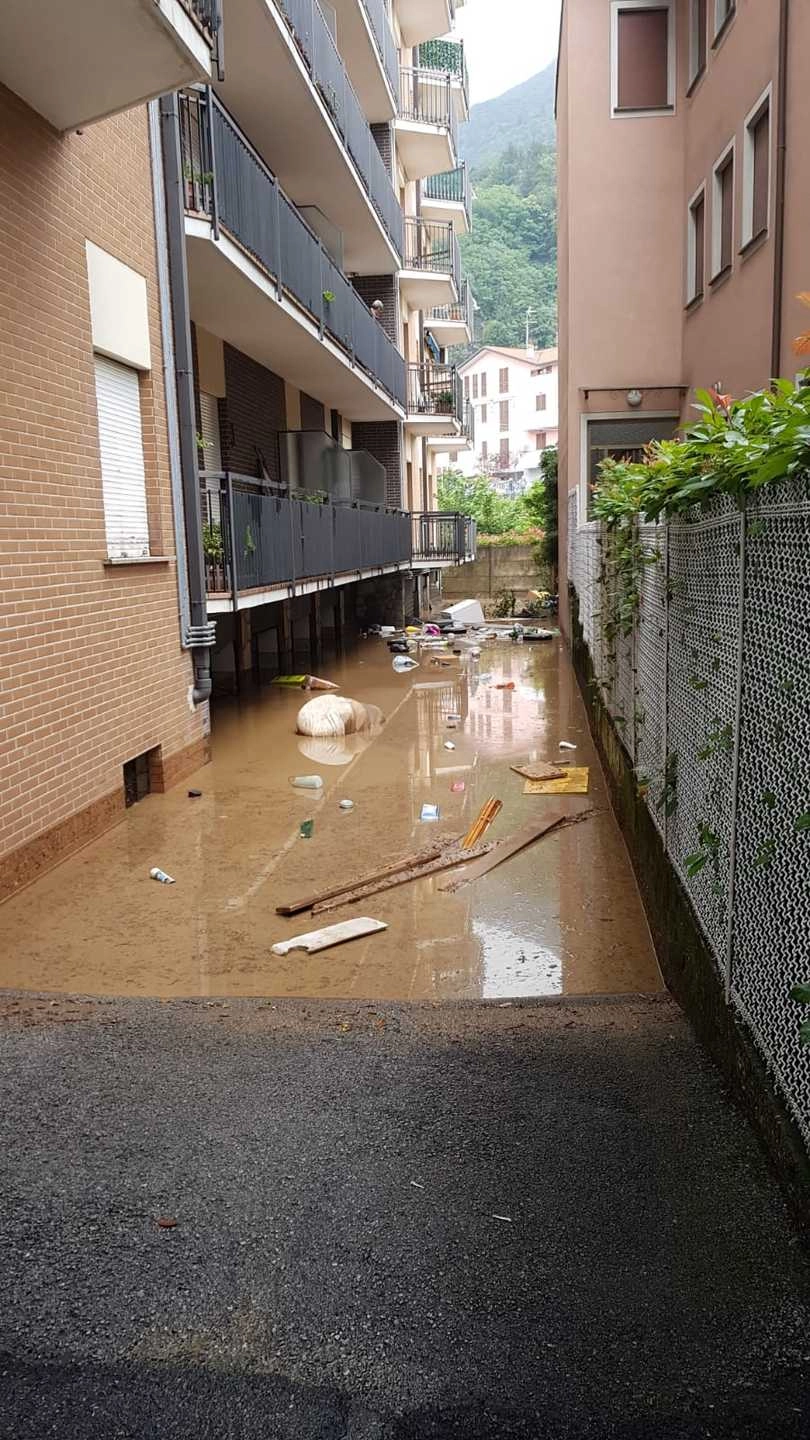 immagine di sfondo 5