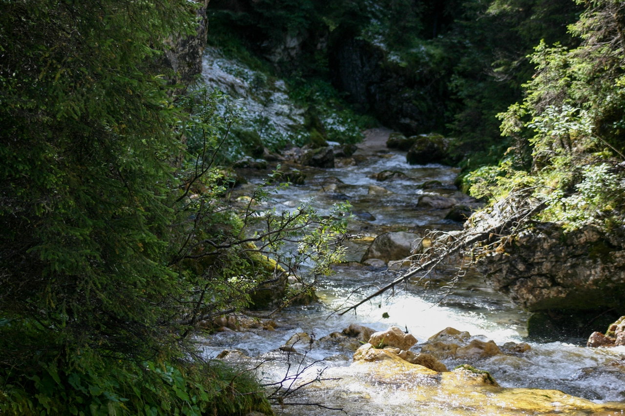 Ruscello di montagna in una foto L.Gallitto