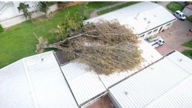 Altre 111 scuole colpite a Milano: 13 milioni per riaprire Solaroli
Altre 111 scuole colpite a Milano: 13 milioni per riaprire Solaroli