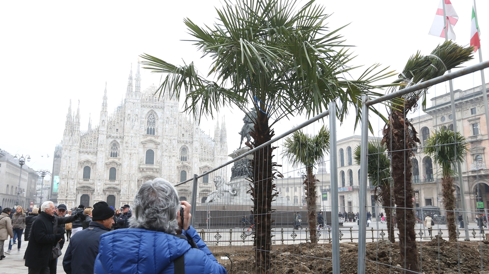 Le palme bruciate in piazza Duomo (La Presse)