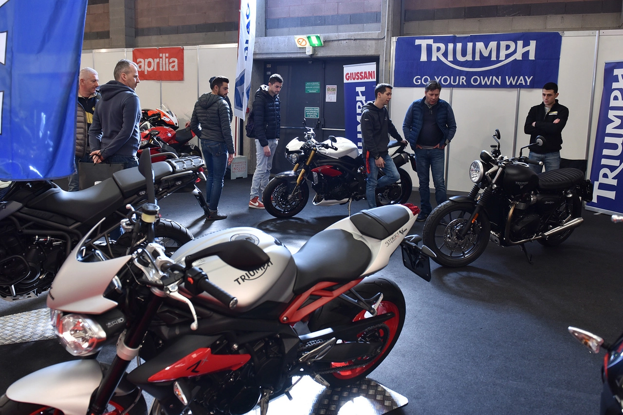 MOTORSHOW_12570175_195606