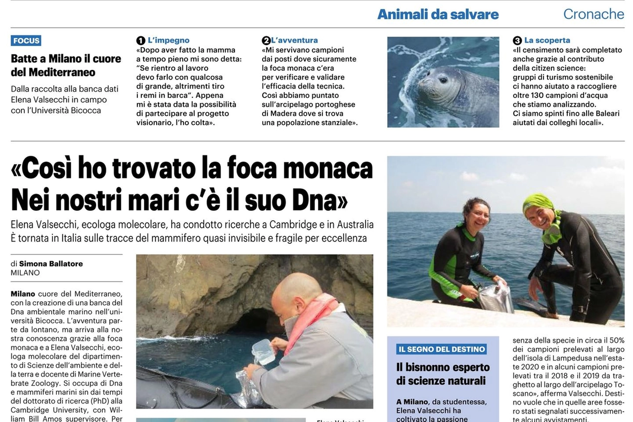 L'intervista a Elena Valsecchi