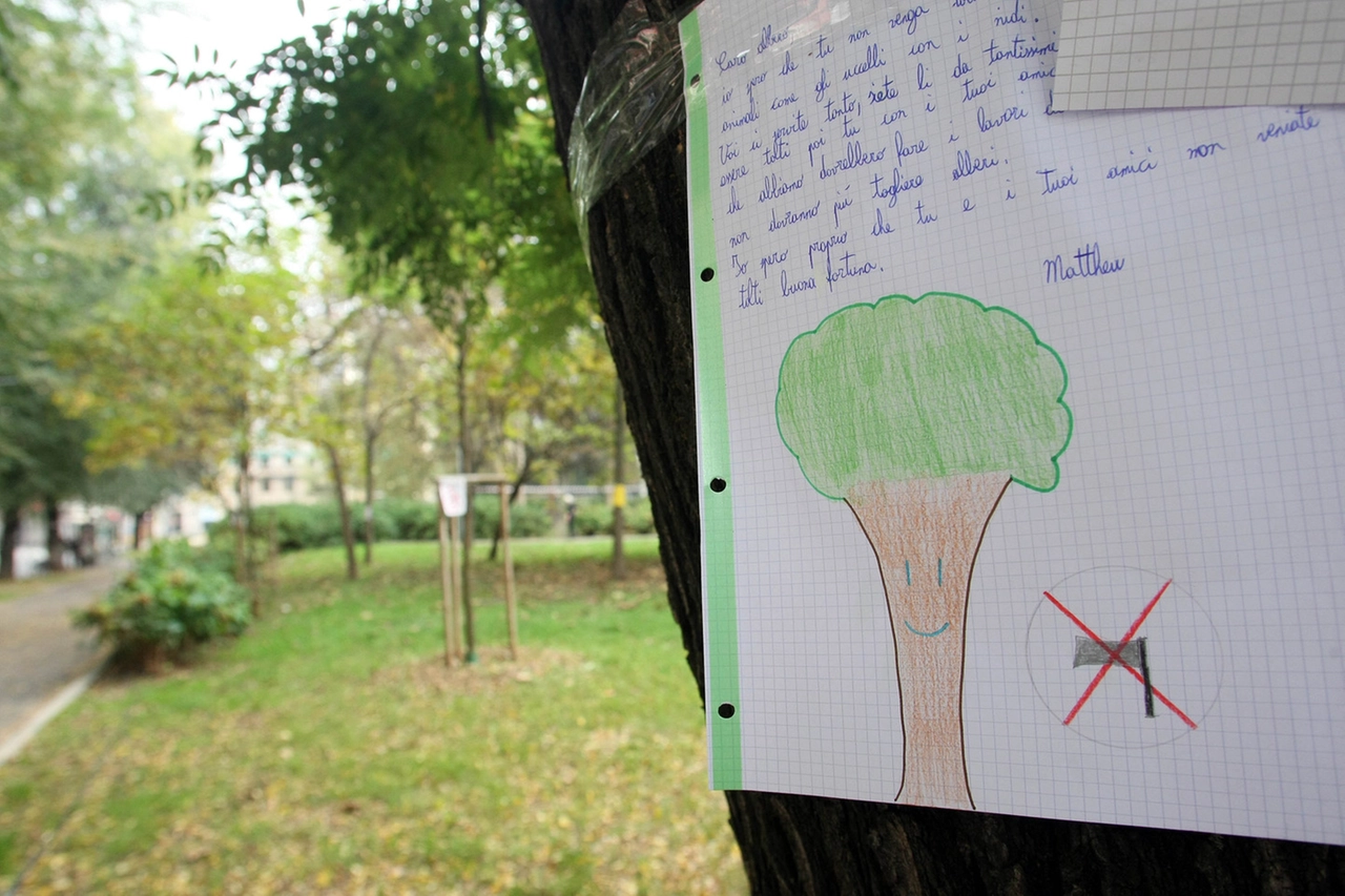 immagine di sfondo 19