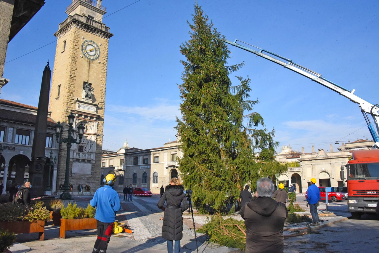 immagine di sfondo 5