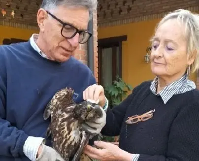 Vailate, poiana quasi cieca ridotta allo stremo: la salva l’ex assessore