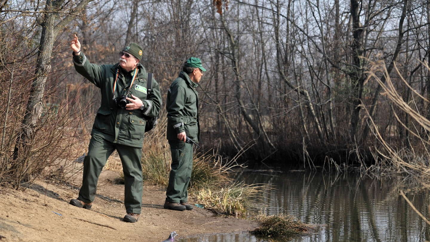  Alcune guardie ecologiche volontarie perlustrano un corso d’acqua