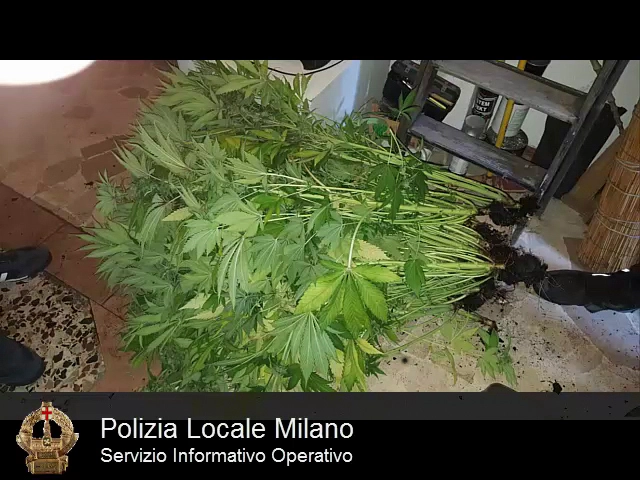immagine di sfondo 12