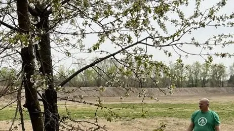 Un bosco urbano con 500 alberi Un bosco urbano con 500 alberi