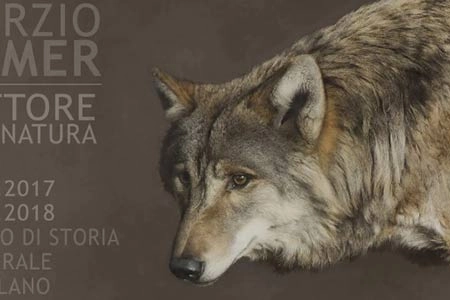 Marzio Tamer
