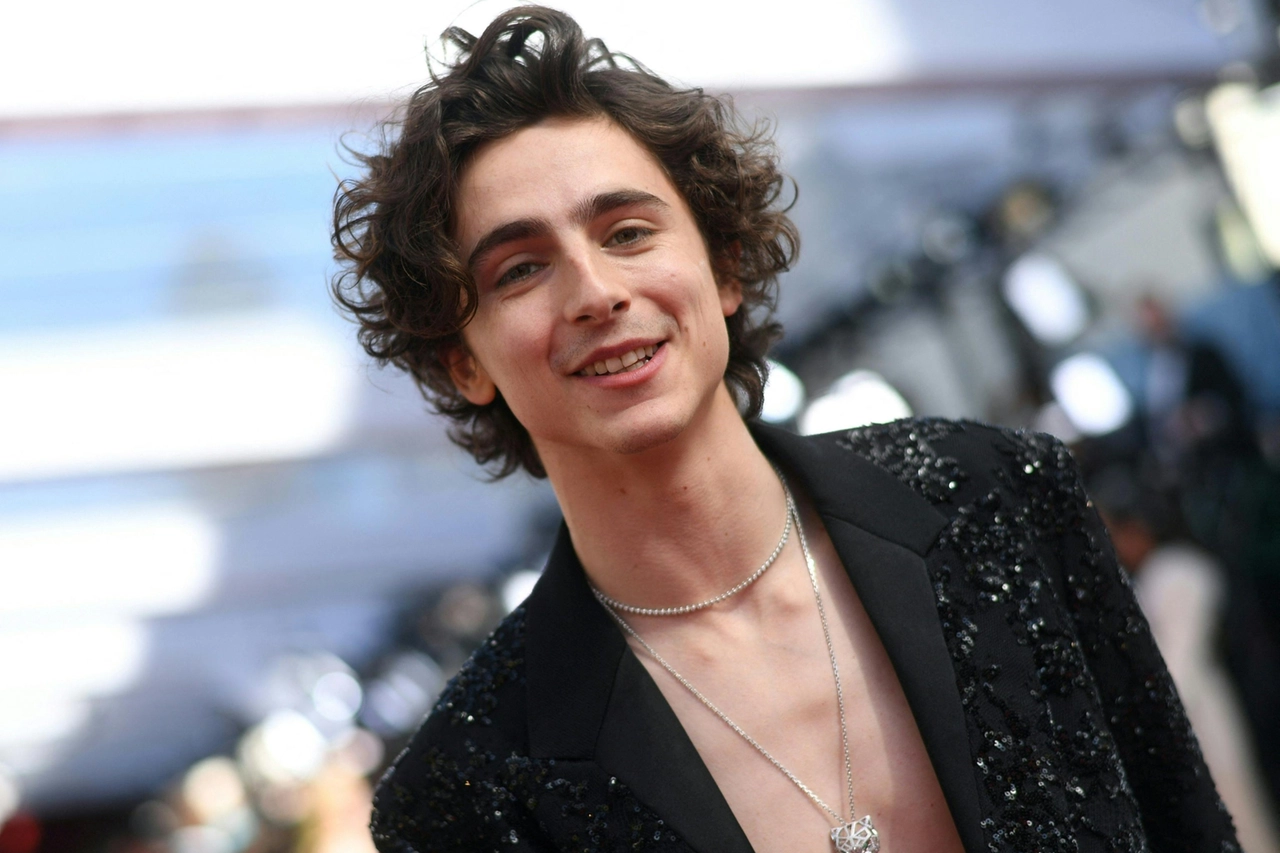 Timothée Chalamet
