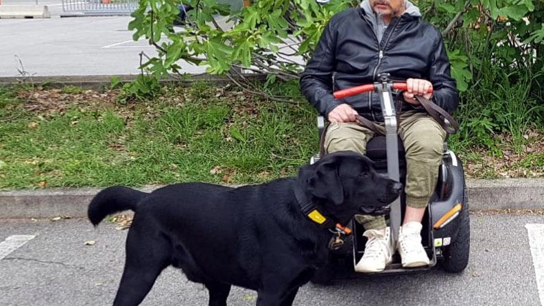 Il cane sporca. Padrone disabile sanzionato Il cane sporca. Padrone disabile sanzionato