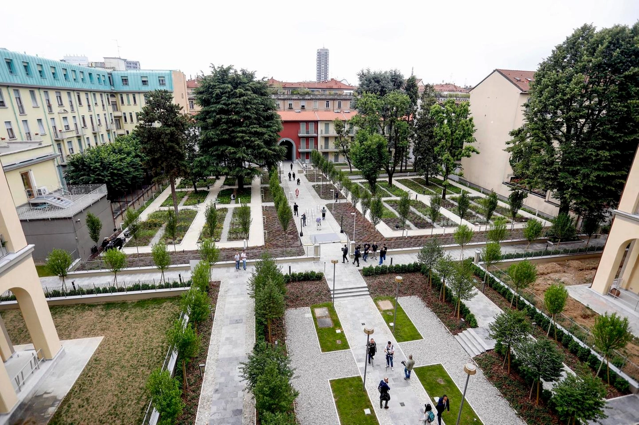 immagine di sfondo 3