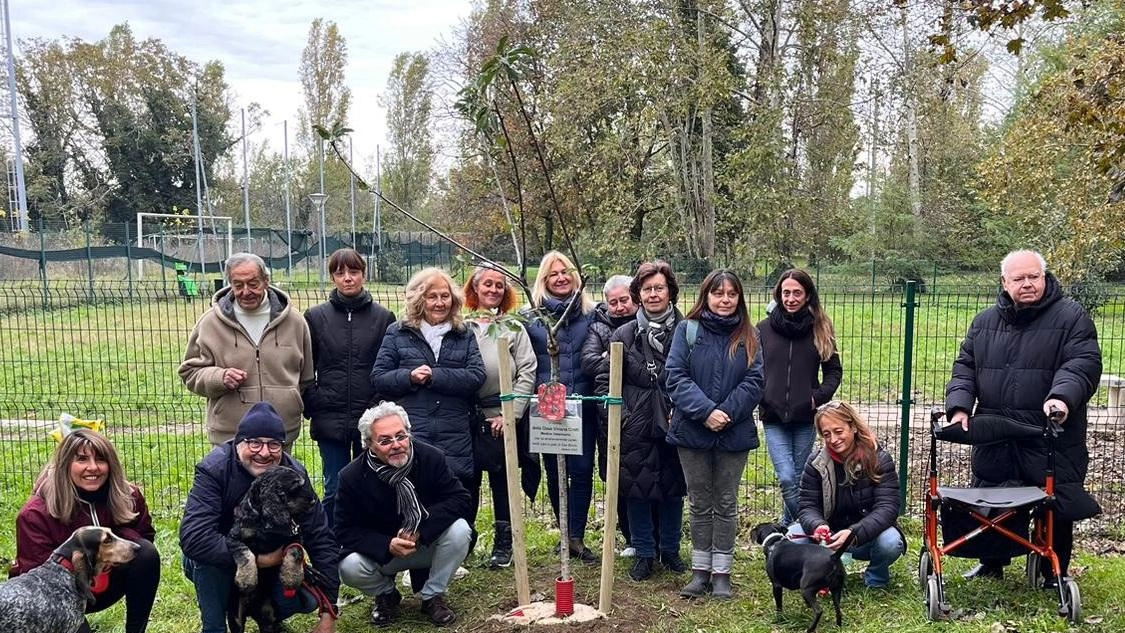 All’area cani un ciliegio in memoria della veterinaria Viviana Crotti All’area cani un ciliegio in memoria della veterinaria Viviana Crotti