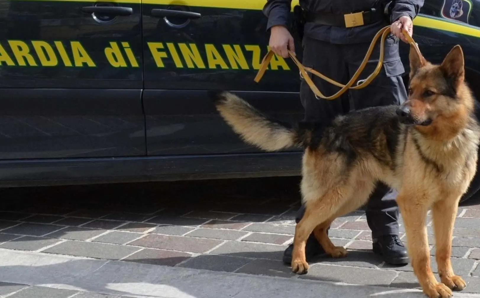 80 milioni sequestrati, imprenditore e collaboratore finiscono in carcere
