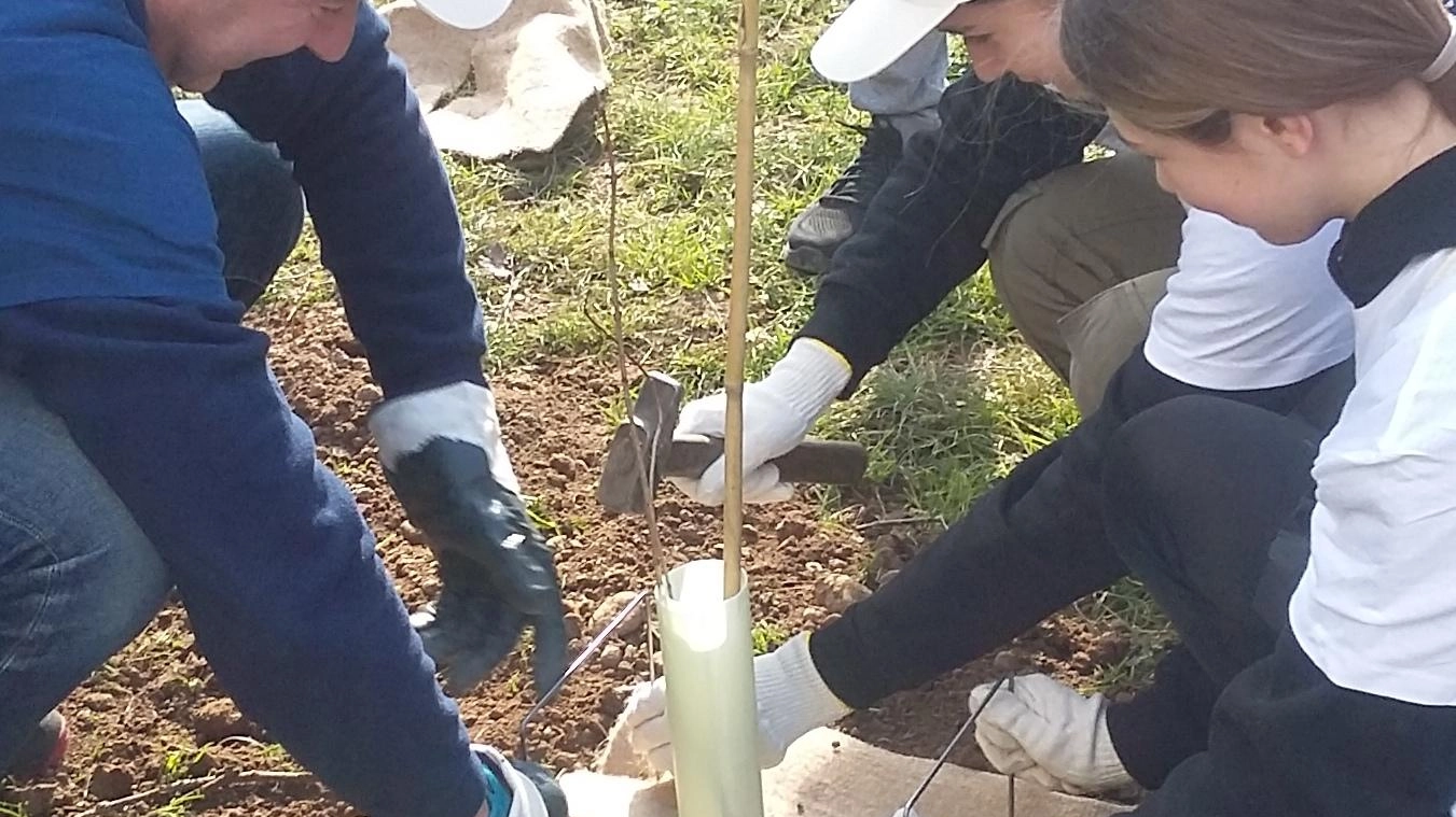 “Ri-Party-Amo” via alla cura di prati e alberi