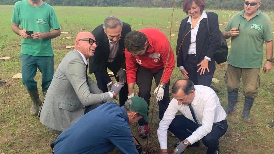 Il sindaco Beppe Sala partecipa alla posa dei primi alberi 