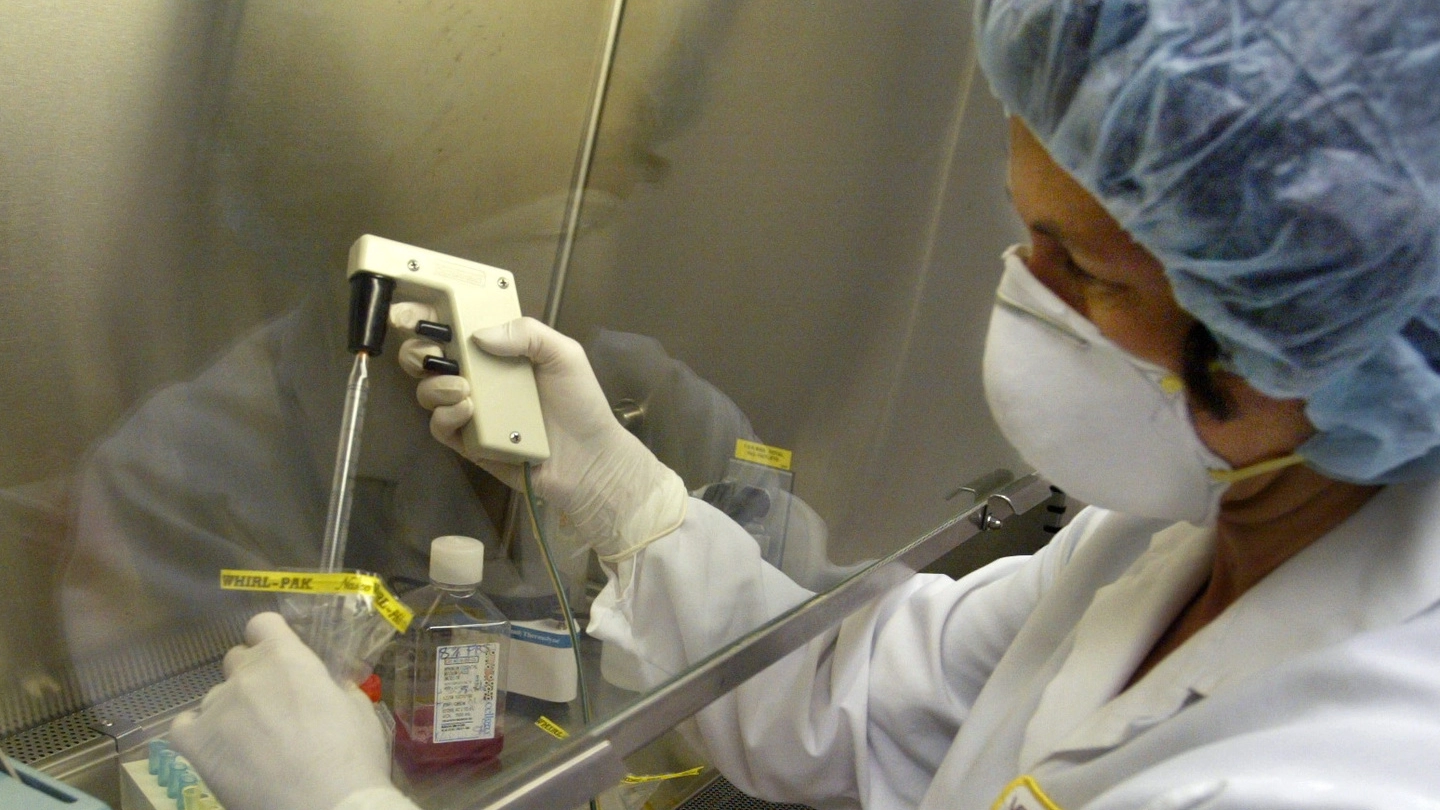 Uno step dell’analisi per la ricerca del virus del monkeypox in un laboratorio