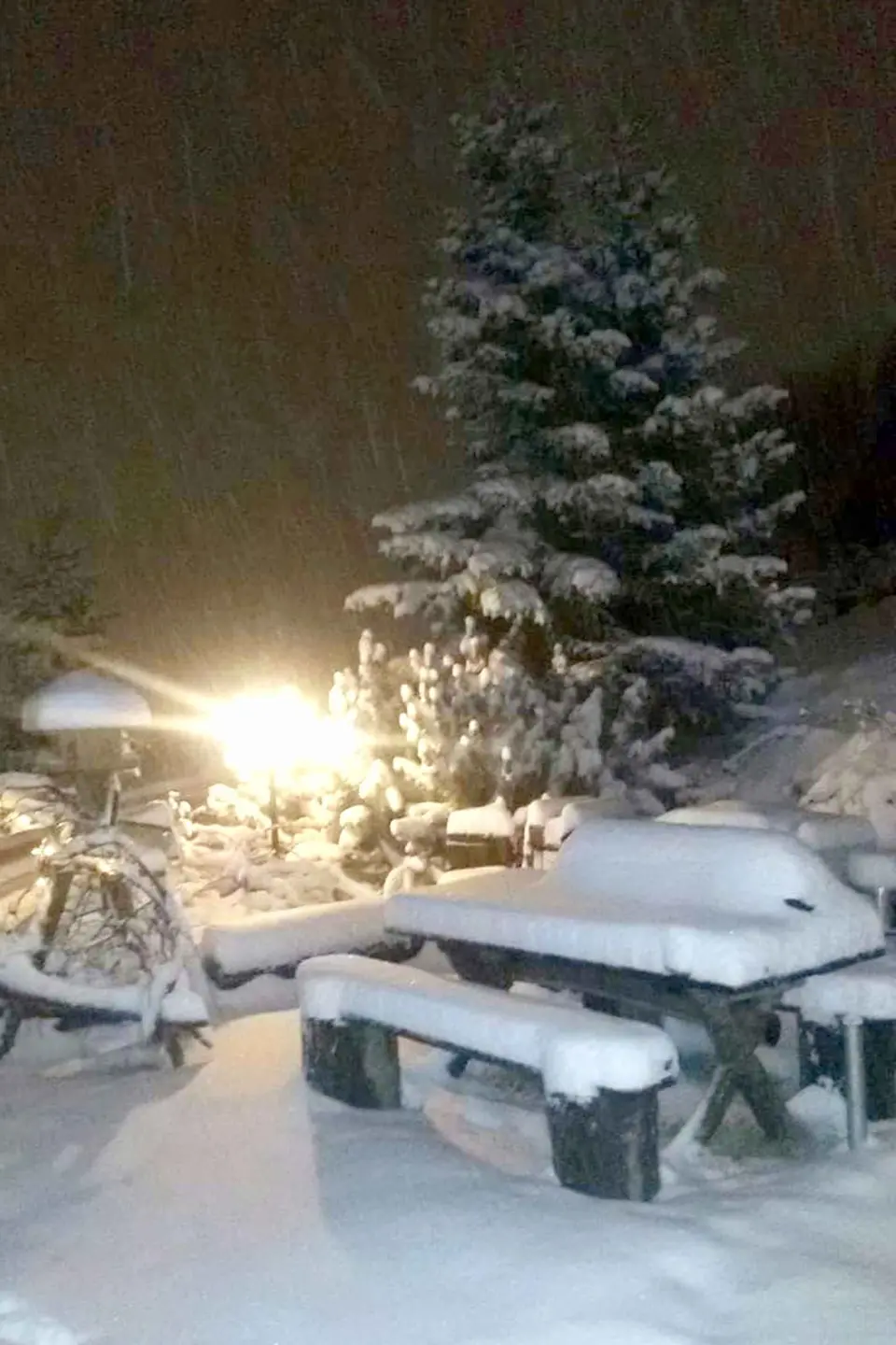 Meteo, ecco la neve in Lombardia / FOTO
