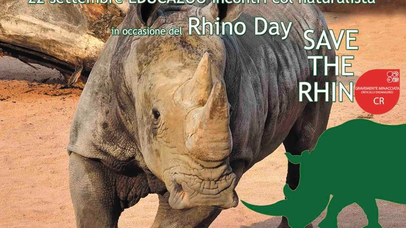 Rhino Day