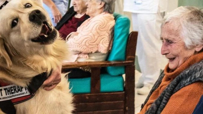 Pet therapy per anziani
