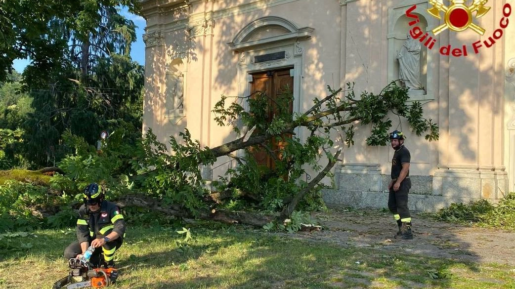 Luino, il crollo del grosso ramo Luino, il crollo del grosso ramo