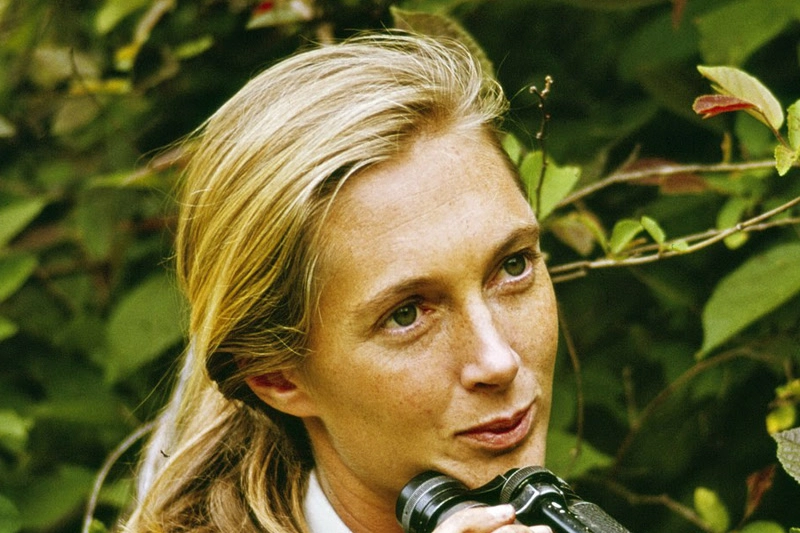 Jane Goodall