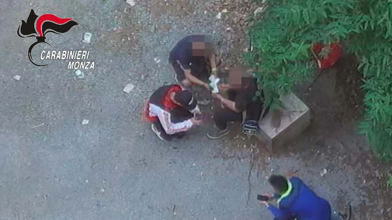 immagine di sfondo 13