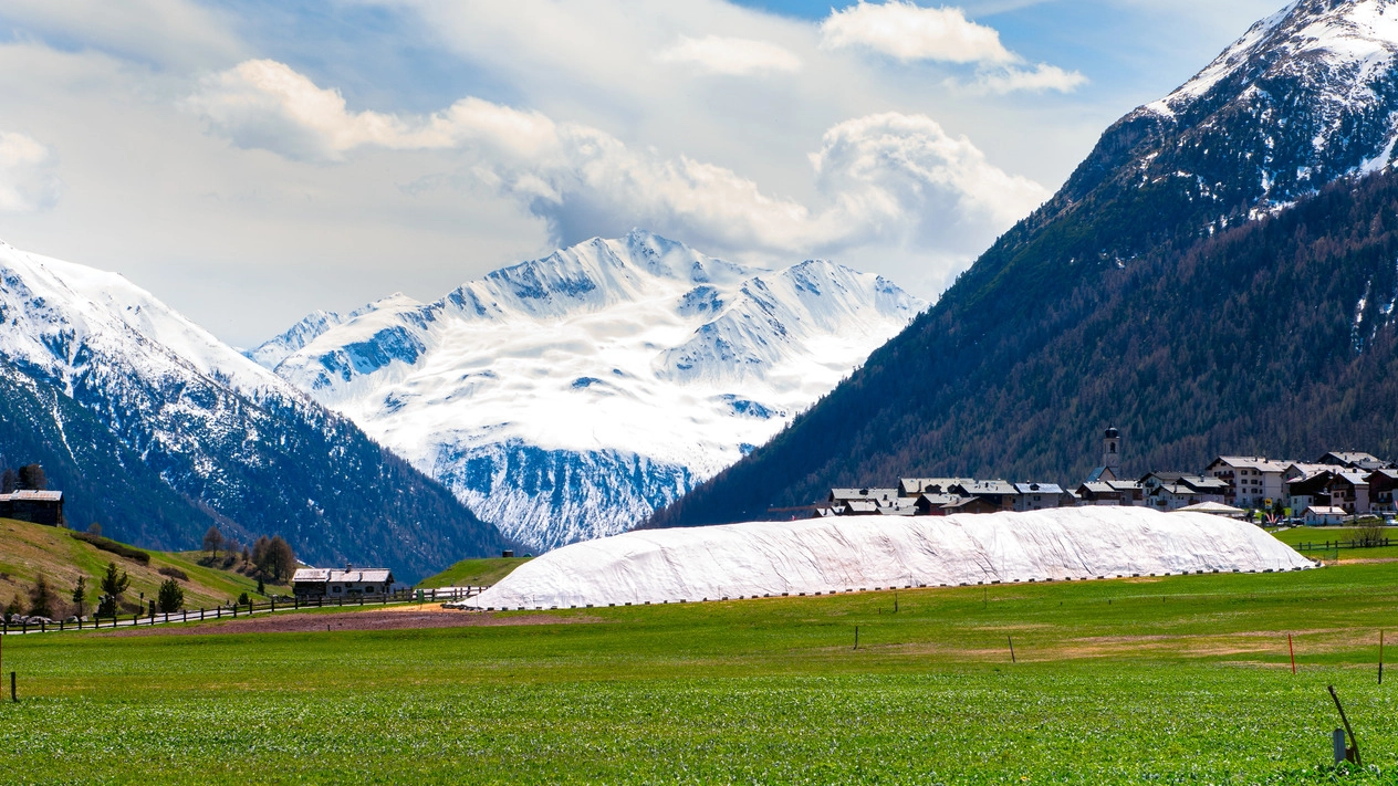 Livigno, la nuova tecnica di coservazione della neve: «snow farming»