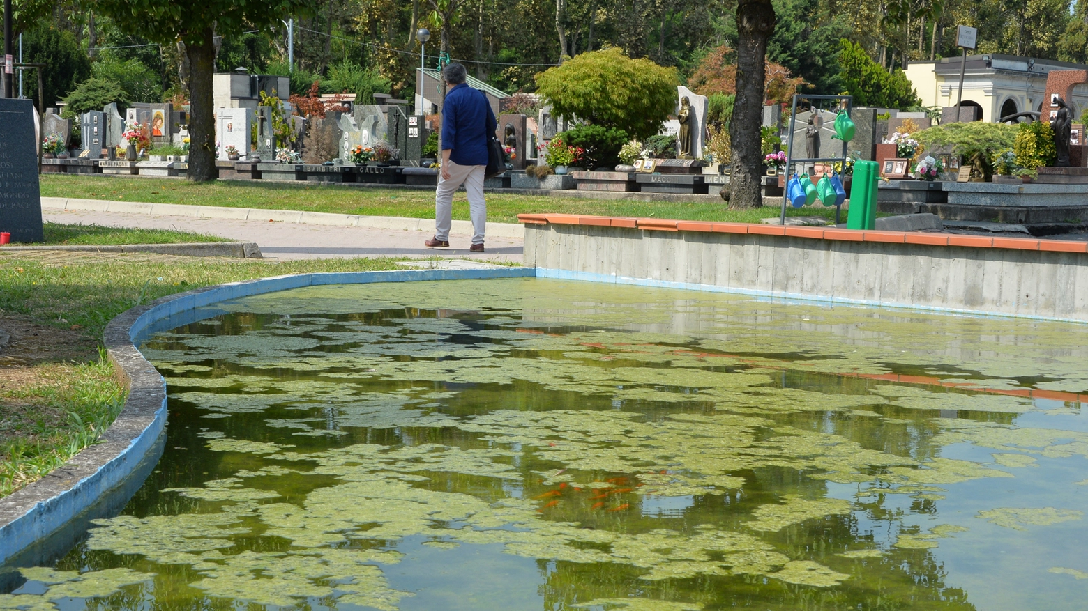 I pesci rossi nella vasca davanti al Monumento dei Caduti
