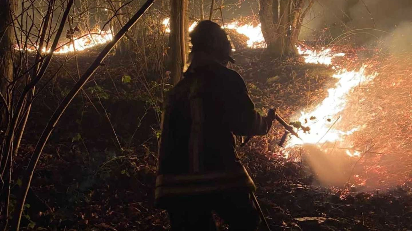 Un vigili del fuoco impegnato a spegnere un incendio boschivo