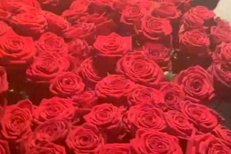 Le rose per Elodie (Instagram Stories)