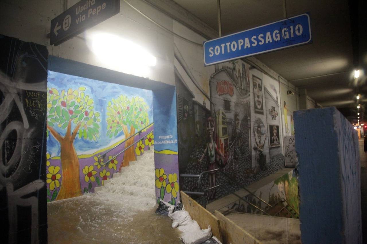 immagine di sfondo 11