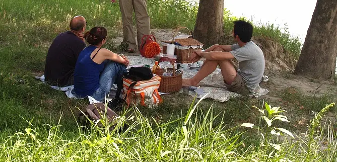 Alzano Lombardo, troppa gente al parco: il sindaco vieta i pic nic
