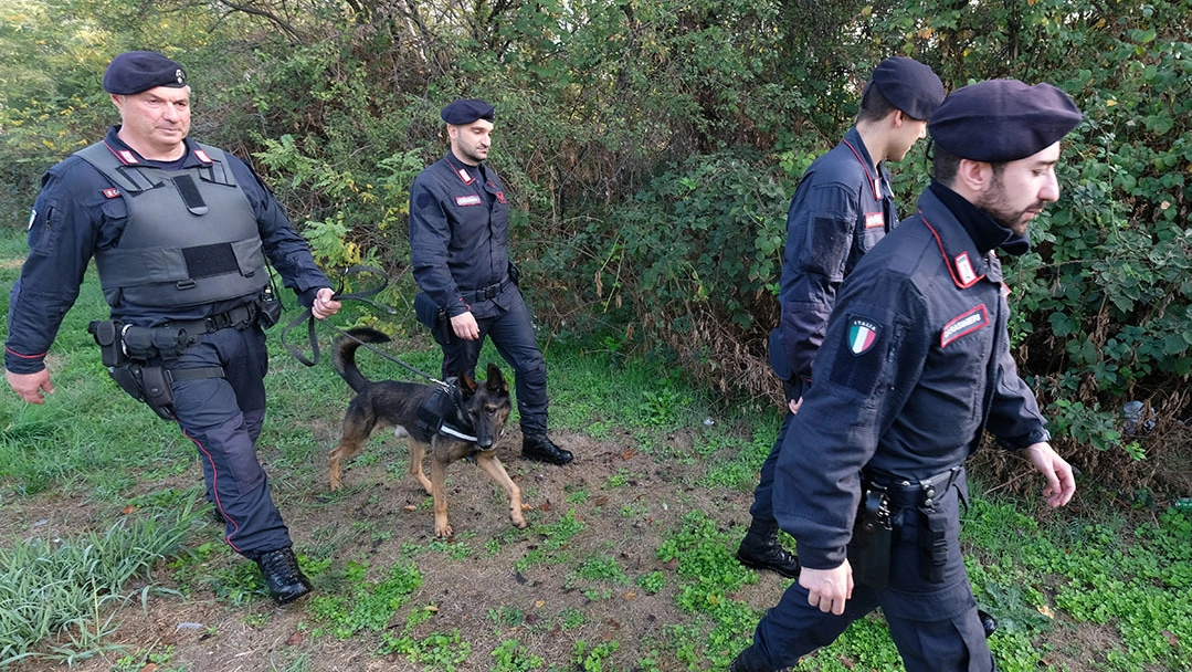 La struttura era verticalizzata e disponeva di addetti alla vigilanza, autisti e fornitori per ogni tipologia di stupefacente La struttura era verticalizzata e disponeva di addetti alla vigilanza, autisti e fornitori per ogni tipologia di stupefacente