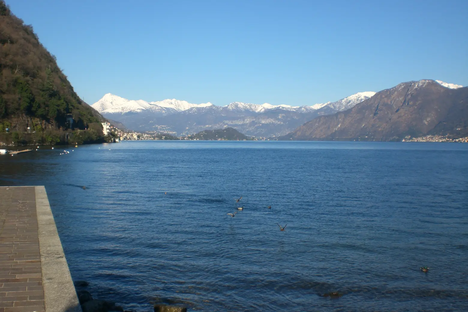 immagine di sfondo 1