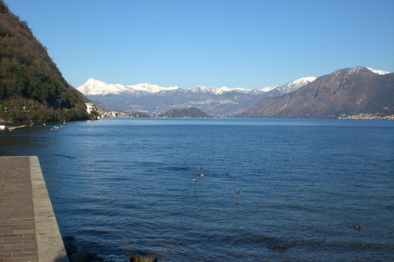 immagine di sfondo 1