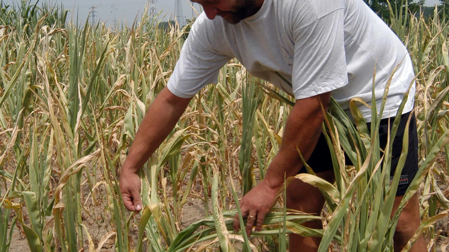 Cambiamenti climatici. L’agenda 2030 dell’Onu raccontata in una mostra Cambiamenti climatici. L’agenda 2030 dell’Onu raccontata in una mostra