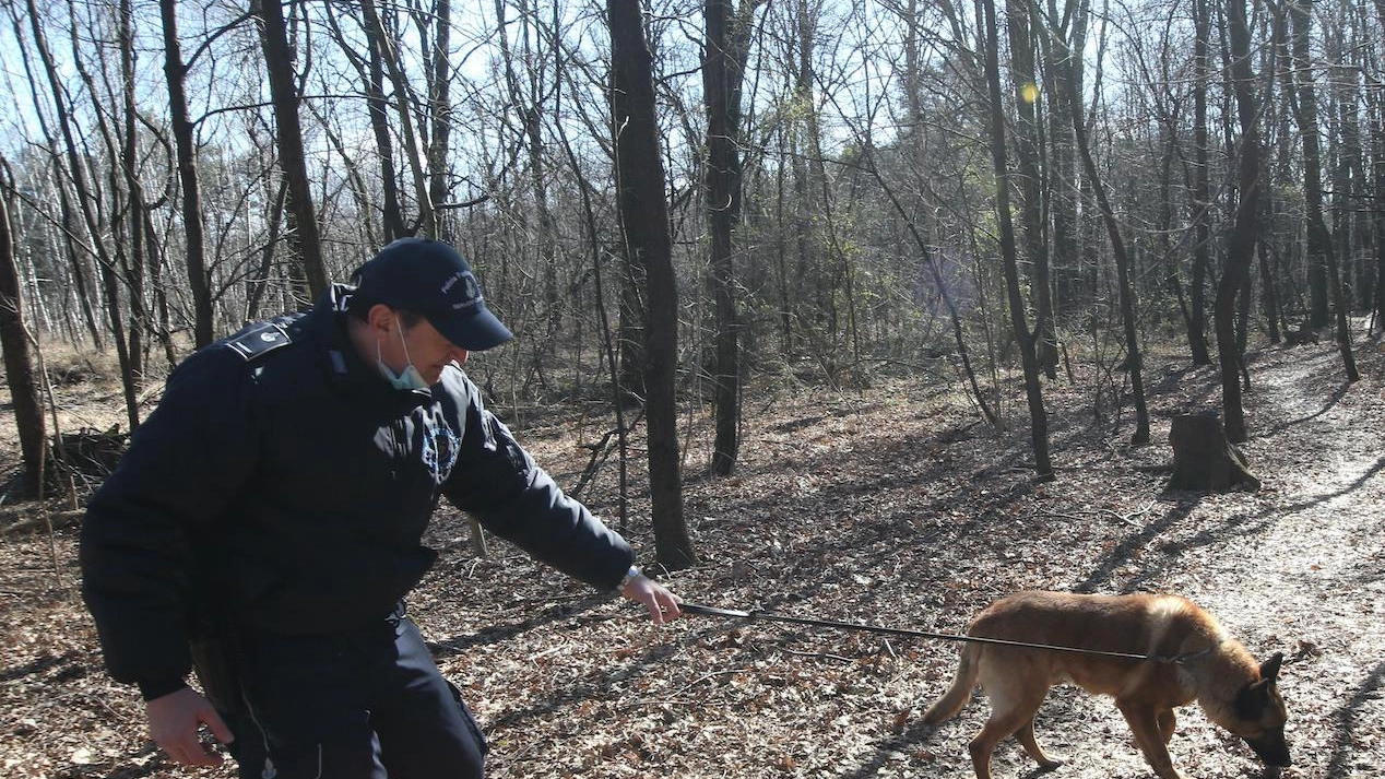 Il delitto nel bosco dello spaccio  Volto tumefatto e ferite ovunque:  l’ipotesi del regolamento di conti
