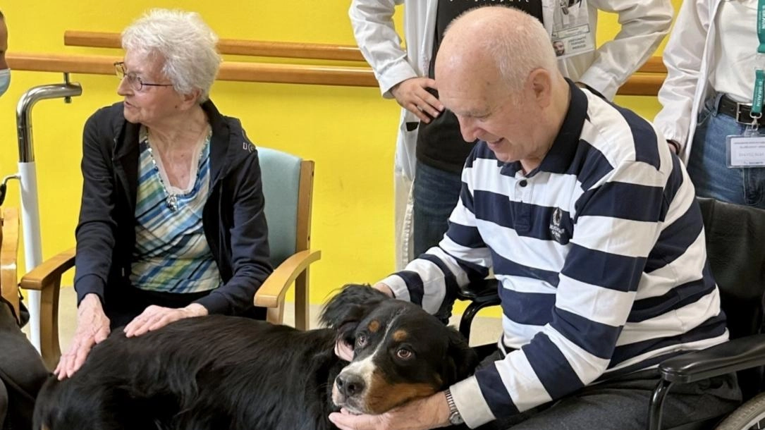 Cani, gatti, conigli e cincillà. Ingresso libero alla casa di riposo