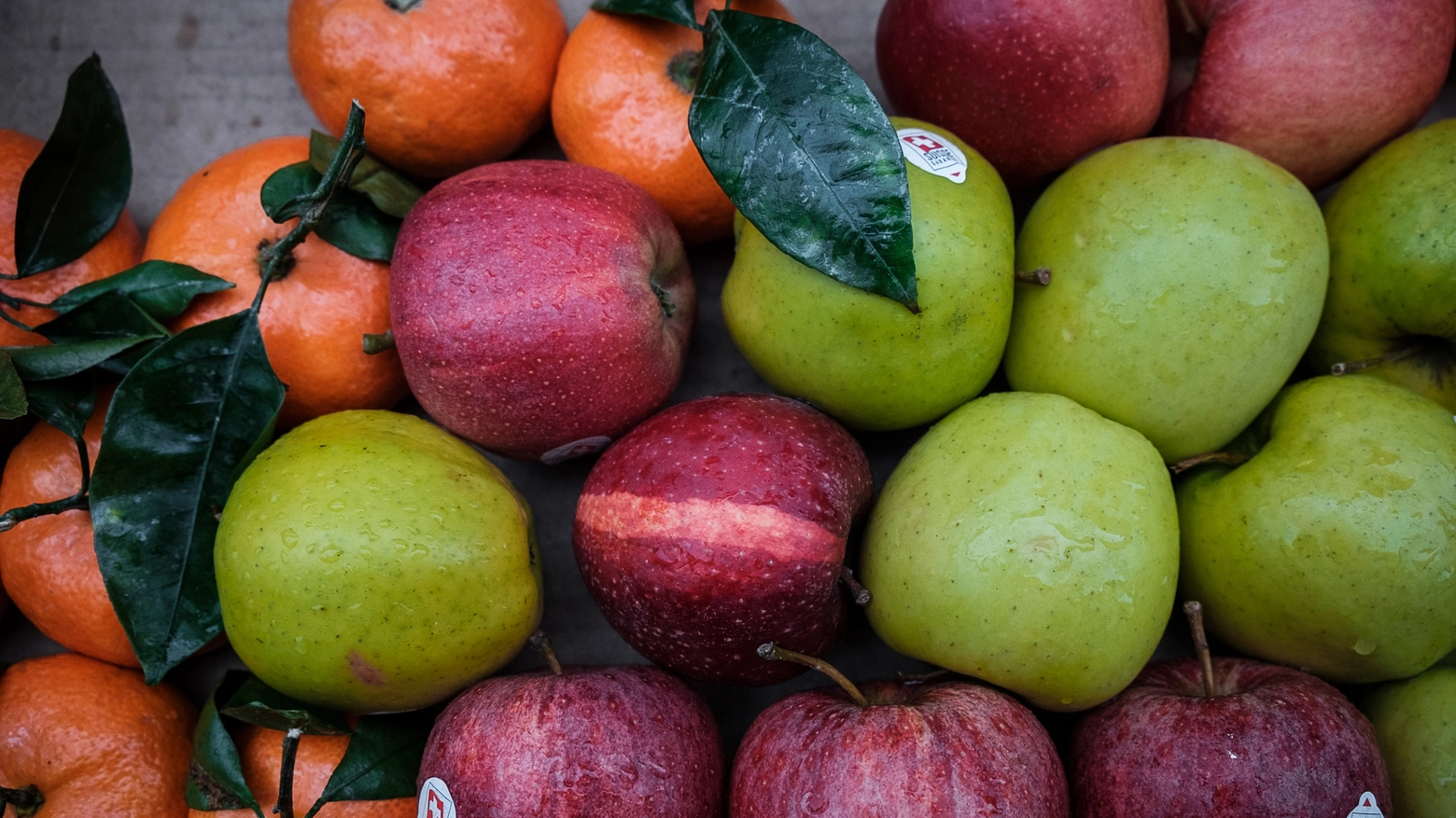 Pane e frutta avanzati all’istituto Garibaldi saranno distribuiti ai bisognosi