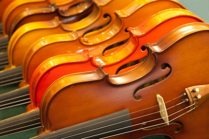 Violini