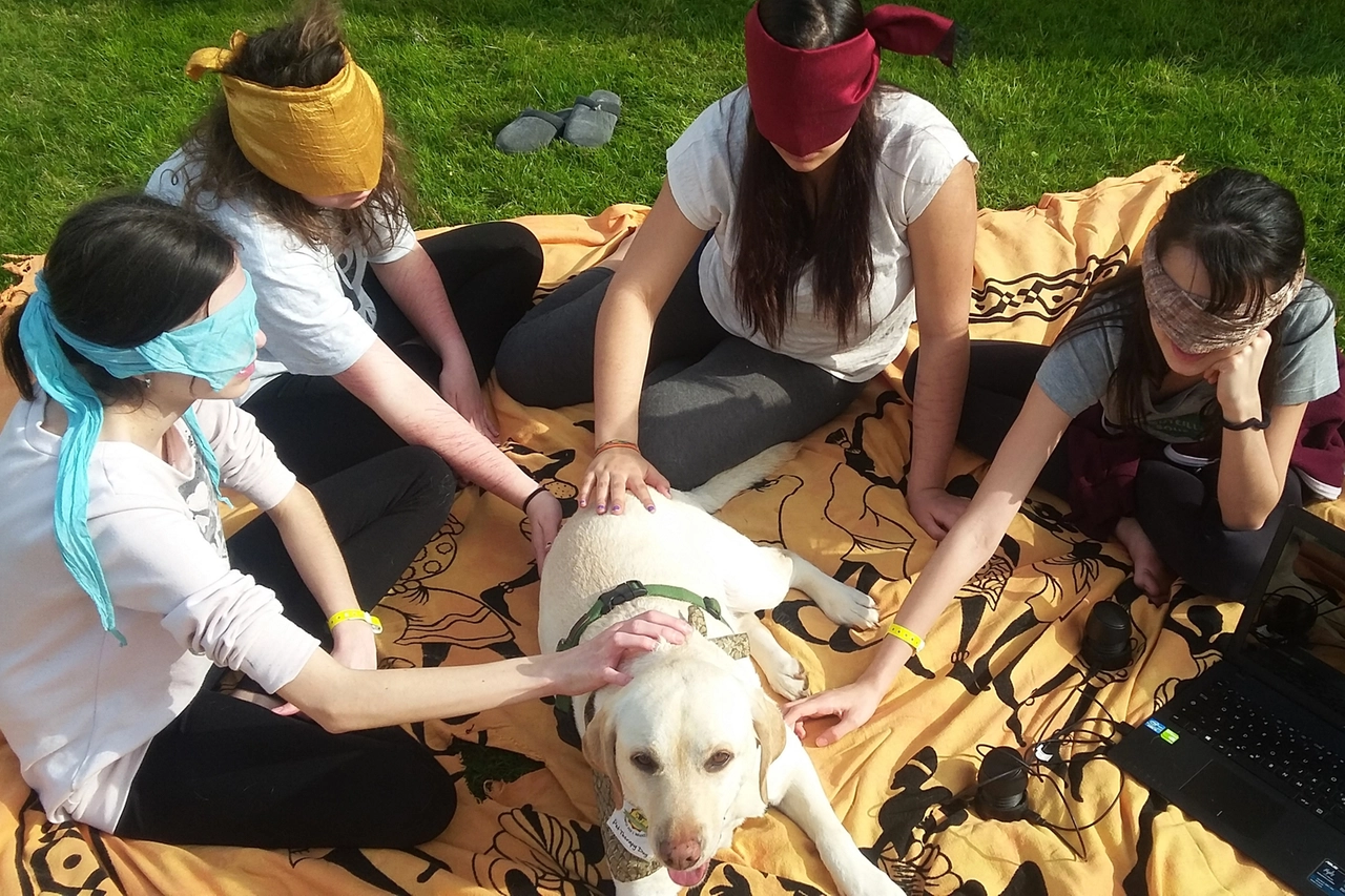 Pet Therapy
