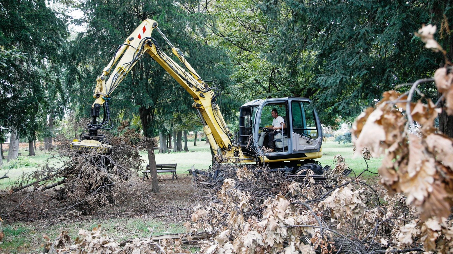 Valore quasi dimezzato Devastato dal vento il parco di Villa Litta si cura ma non guarirà Valore quasi dimezzato Devastato dal vento il parco di Villa Litta si cura ma non guarirà