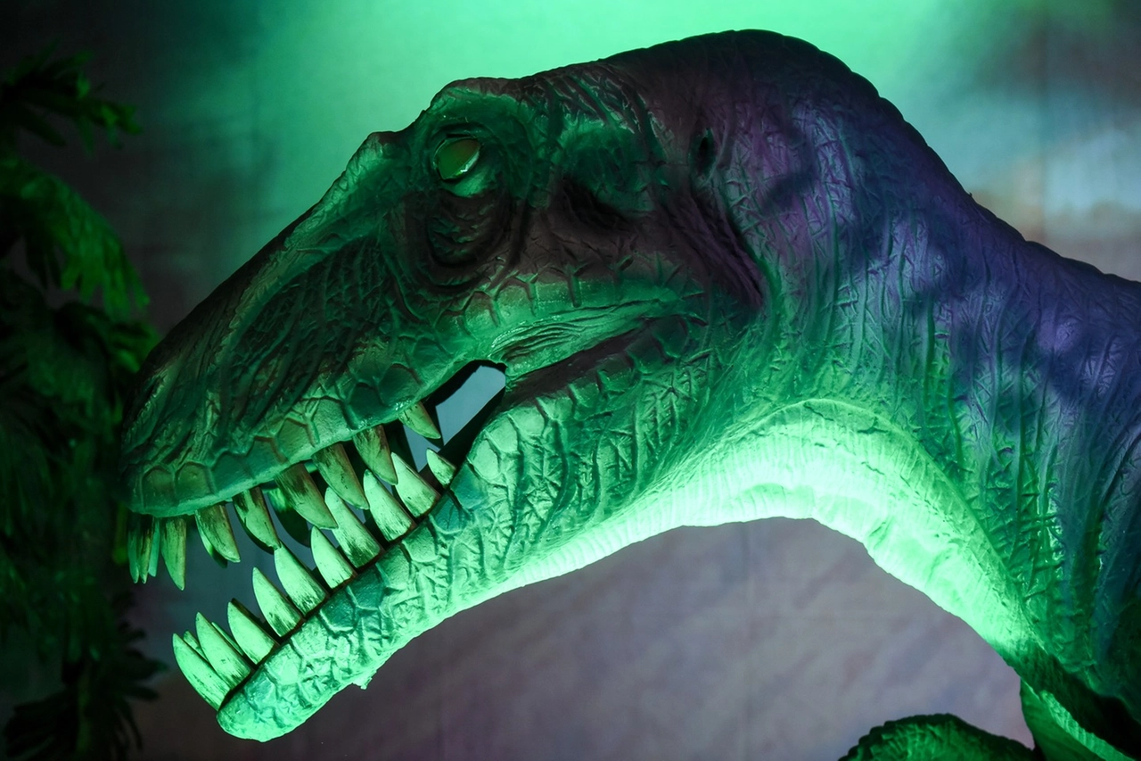 DINO_OBJ_FOTO_21_34248271